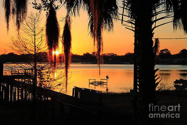 Sunrise on Lake Weir - 4 by Tom Doud Sunrise on Lake Weir - 4 by Tom Doud