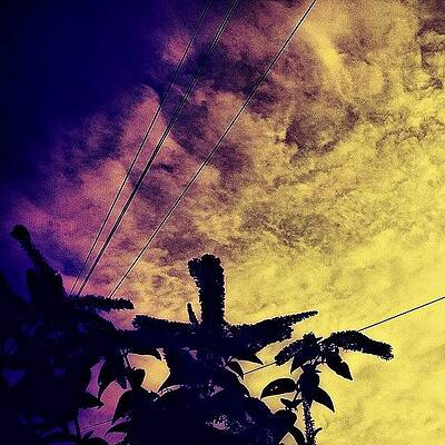 Wall Art - Photograph - Dramatic Sky by Jason Roust