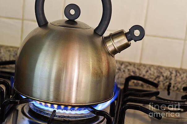 https://render.fineartamerica.com/images/images-profile-flow/400/images-medium-large-5/1-teapot-on-gas-stove-burner-sami-sarkis.jpg