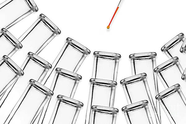 Wall Art - Photograph - Test Tubes And Pipette #1 by Sigrid Gombert