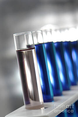 Wall Art - Photograph - Test Tubes in Science Research Lab #1 by Science Research Lab