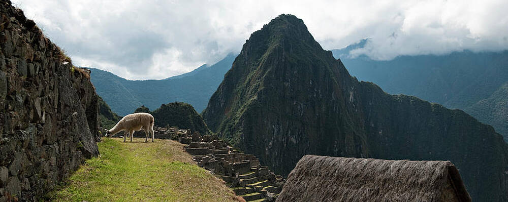 Wall Art - Photograph - The Ancient Ruins Of Machu Picchu #1 by R. Tyler Gross