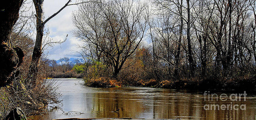 The Boise River by JOHN LANGDON The Boise River by JOHN LANGDON