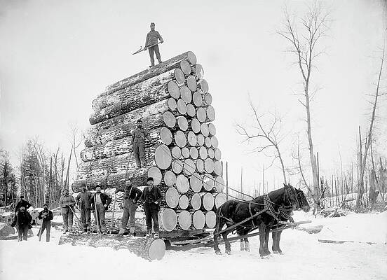 Wall Art - Photograph - Timber Logging #1 by Science Photo Library