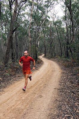 Wall Art - Photograph - Trail Running In Australia #1 by Lars Schneider