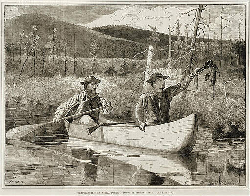 Trapping in the Adirondacks Print by Winslow Homer