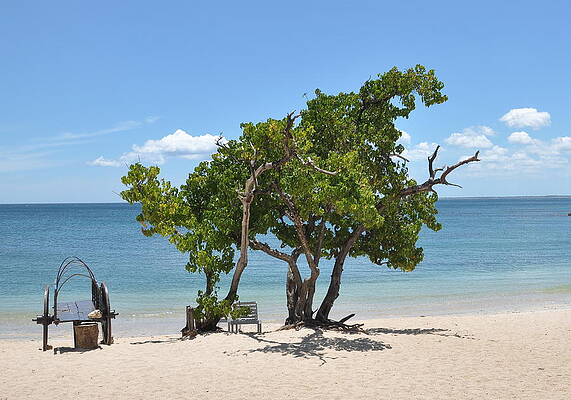  Pyrography - Trincomalee-beach #1 by Susantha Wijegunasekera