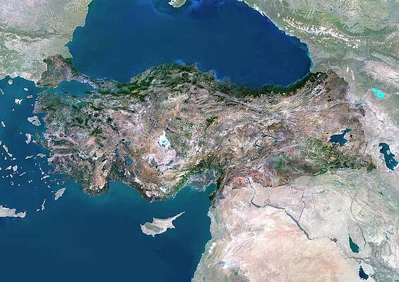 Wall Art - Photograph - Turkey #1 by Science Photo Library