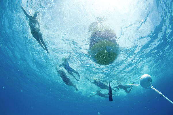 Wall Art - Photograph - Underwater View Of Swimmers Rounding #1 by Krystle Wright