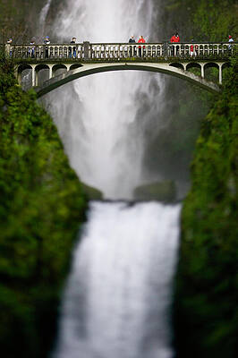 Wall Art - Photograph - Unidentified People Stand On A Bridge #1 by Corey Hendrickson