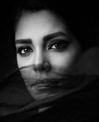 Wall Art - Photograph - Untitled #1 by Mehdi Mokhtari