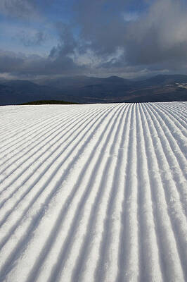 Wall Art - Photograph - Untracked Corduroy On A Trail At Sunday #1 by David McLain