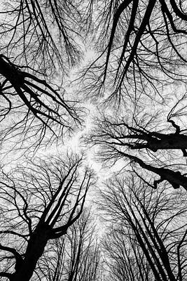 up by Darko Ivancevic up by Darko Ivancevic