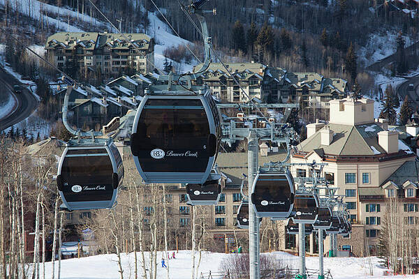 Wall Art - Photograph - USA, Colorado, Beaver Creek, Beaver #1 by Walter Bibikow