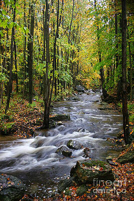 Vermont Stream by Bobbie Turner Vermont Stream by Bobbie Turner