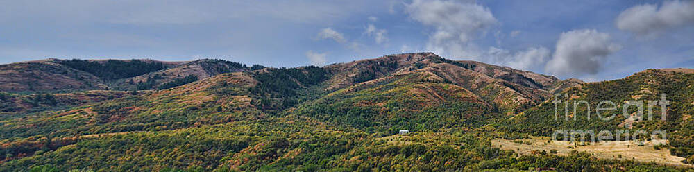 Wasatch Mountains Utah by Donna Greene Wasatch Mountains Utah by Donna Greene