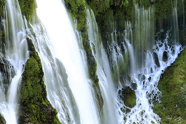 Water from Rock by Randy Bradley Water from Rock by Randy Bradley