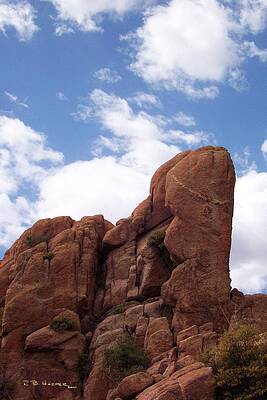 Wall Art - Photograph - Watson Lake Red Rocks #1 by R B Harper