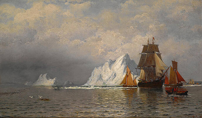 Whaler and Fishing Vessels near the Coast of Labrador Print by William Bradford