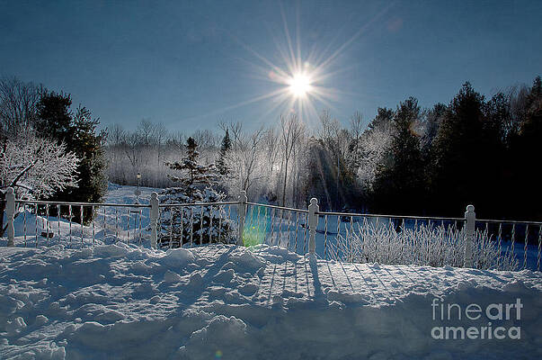 Wall Art - Photograph - Winter Solace #1 by Gwen Gibson