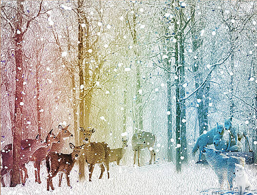 WINTER TRUCE by Michael Pittas WINTER TRUCE by Michael Pittas