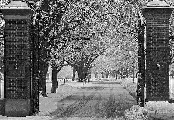 Winters Path by David Hubbs Winters Path by David Hubbs