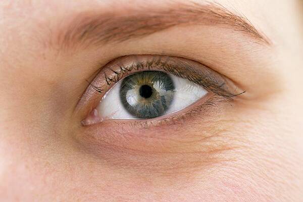 Wall Art - Photograph - Woman's Eye #1 by Science Photo Library