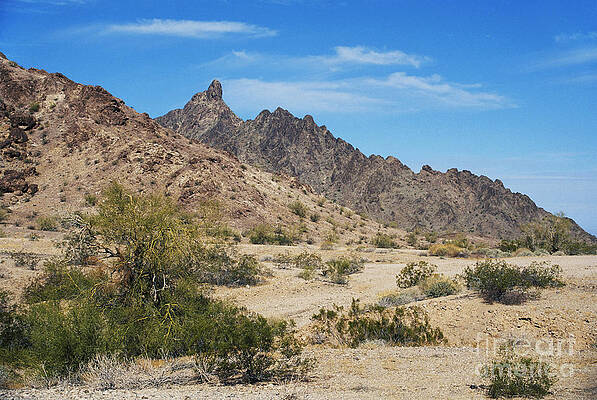 Wall Art - Photograph - Yuma Desert #1 by David Davis
