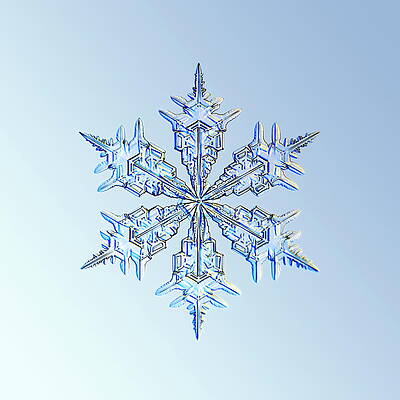 Wall Art - Photograph - Snowflake #10 by Science Photo Library