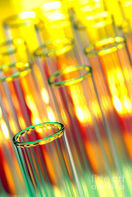 Wall Art - Photograph - Test Tubes in Science Research Lab #10 by Science Research Lab