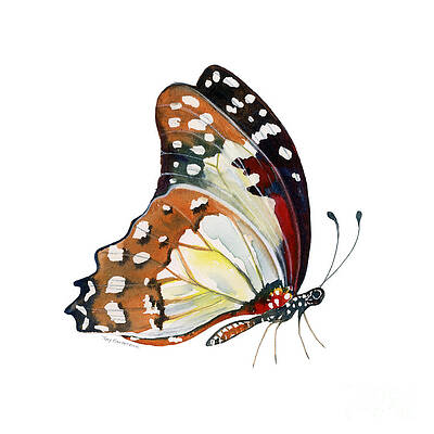 Wall Art - Painting - 102 Perched Angola White Lady Butterfly by Amy Kirkpatrick