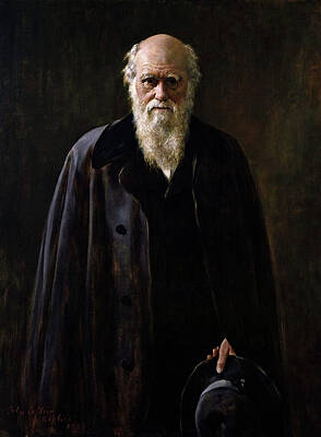 Wall Art - Painting - Charles Darwin (1809-1882) #11 by Granger