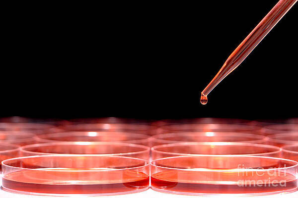 Wall Art - Photograph - Laboratory Experiment in Science Research Lab #11 by Science Research Lab