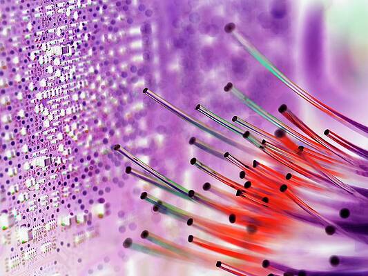 Wall Art - Photograph - Fibre Optics #12 by Science Photo Library
