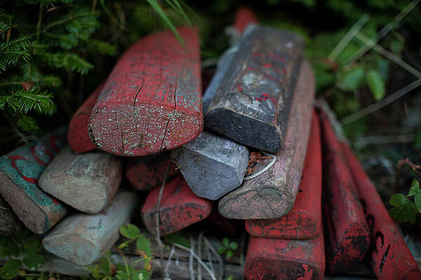 Wall Art - Photograph - Isle Royale #12 by Tom Lynn