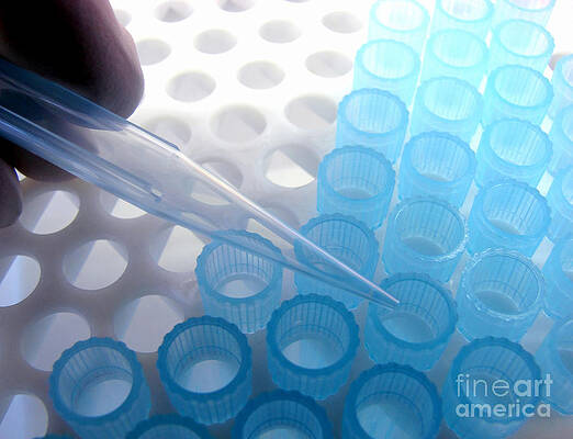 Laboratory Equipment in Science Research Lab by Science Research Lab By Olivier Le Queinec Laboratory Equipment in Science Research Lab by Science Research Lab By Olivier Le Queinec