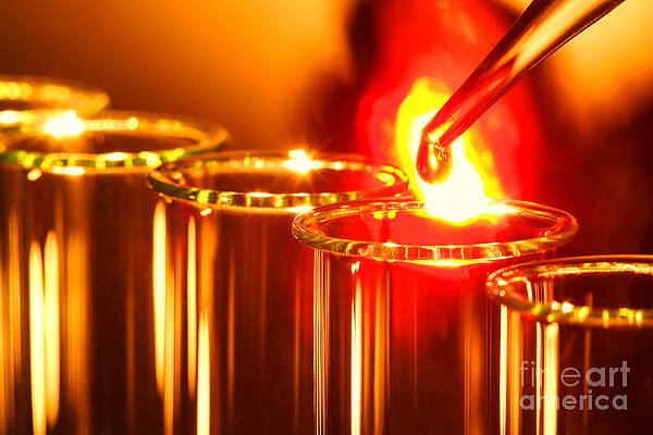 Wall Art - Photograph - Scientific Experiment in Science Research Lab #12 by Science Research Lab