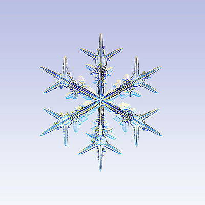 Wall Art - Photograph - Snowflake #12 by Science Photo Library