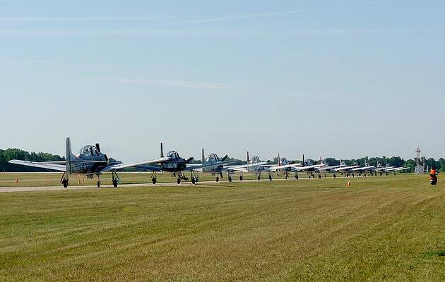 Wall Art - Photograph - 12 Trojans by Matt Abrams