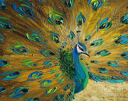 Peacock Art (Page #7 of 35) | Fine Art America