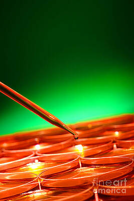 Wall Art - Photograph - Scientific Experiment in Science Research Lab #14 by Science Research Lab