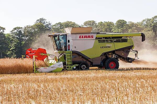 Wall Art - Photograph - Rapeseed Harvesting #15 by Science Photo Library