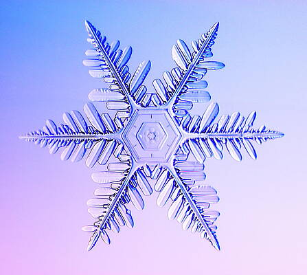 Wall Art - Photograph - Snowflake #15 by Science Photo Library