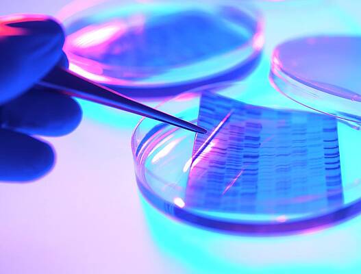 Wall Art - Photograph - Dna Research by Tek Image