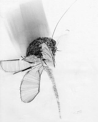 Wall Art - Drawing - Untitled #309 by Chris N Rohrbach
