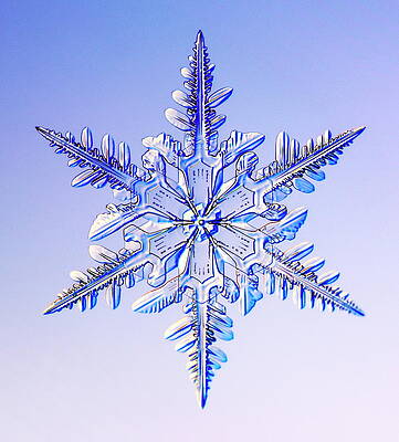 Wall Art - Photograph - Snowflake #17 by Science Photo Library