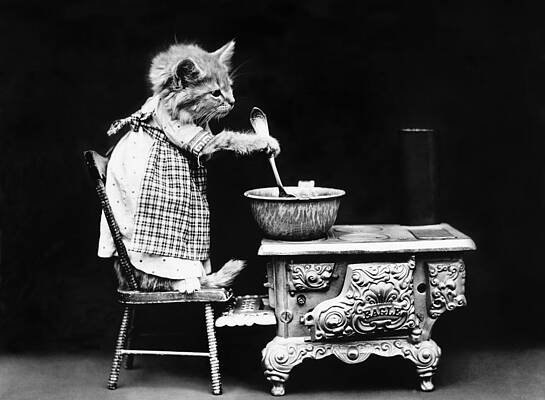 Wall Art - Photograph - Frees Kittens, C1914 #18 by Granger