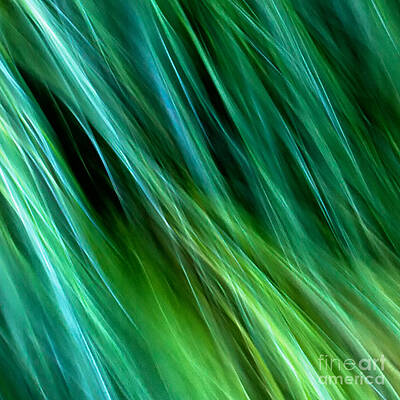 Meditations on Movement in Nature by Joanne Bartone Meditations on Movement in Nature by Joanne Bartone