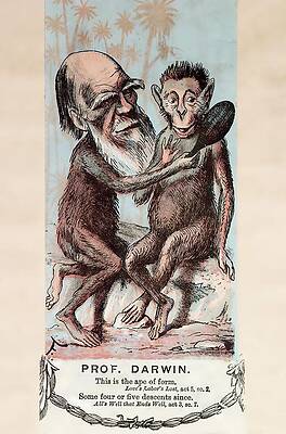 Wall Art - Photograph - 1874 Monkey Darwin Cartoon By Faustin by Science Photo Library
