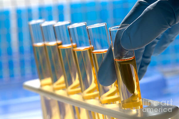 Wall Art - Photograph - Laboratory Test Tubes in Science Research Lab #19 by Science Research Lab